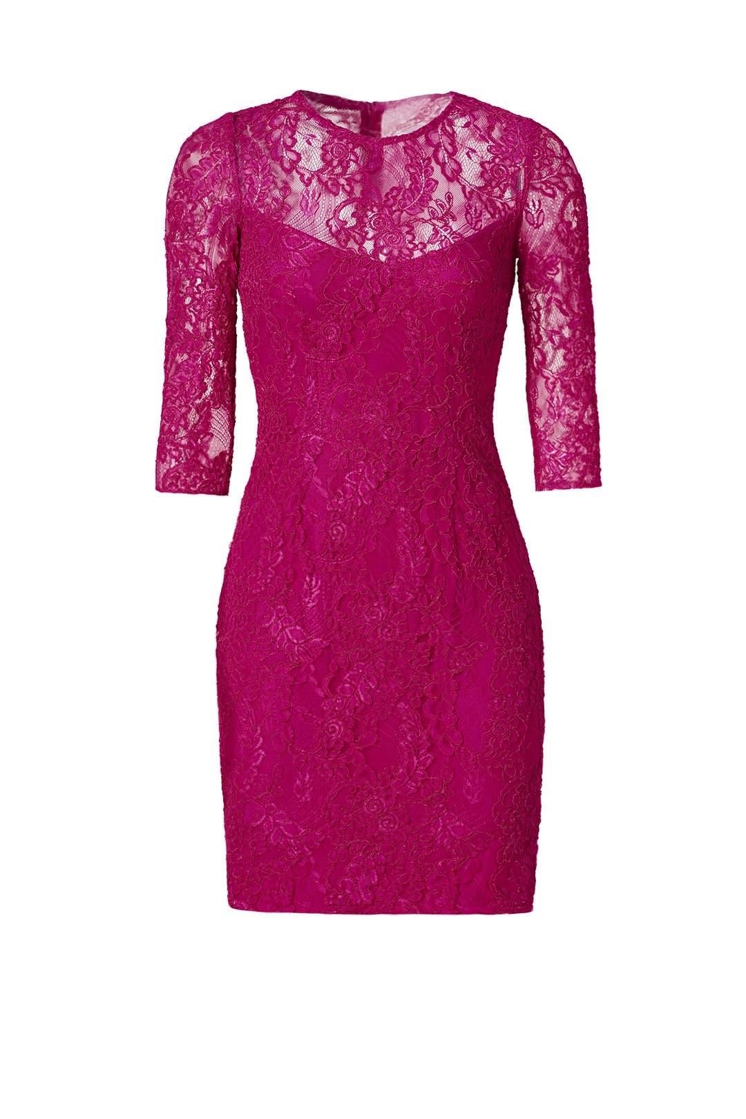 Botanical Berry Sheath by Carmen Marc Valvo