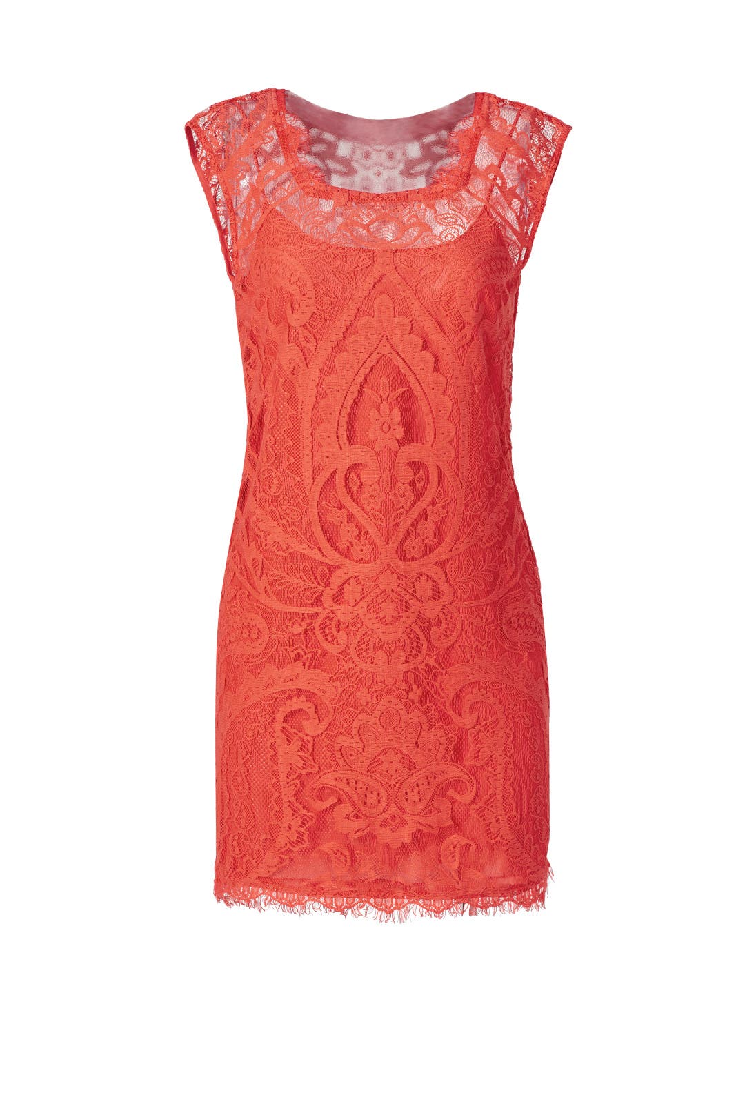 Apricot Spritzer Sheath by Nicole Miller
