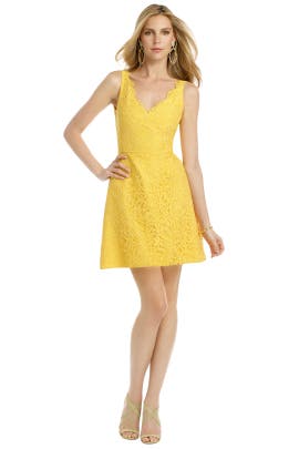 A-line V-neck Sleeveless Cotton/Nylon/Rayon Lace  Dress