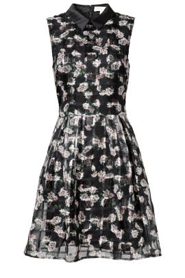 Sleeveless Floral Print Full-Skirt Organza/Polyester  Dress