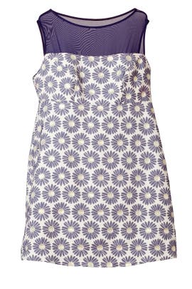 Floral Print Sleeveless Full-Skirt Cotton/Faille/Polyester Scoop Neck  Dress