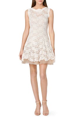 Sleeveless Illusion Lace Scoop Neck Polyamide/Tulle/Viscose  Dress