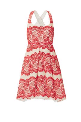 Sleeveless Lace Nylon Full-Skirt Scoop Neck  Dress