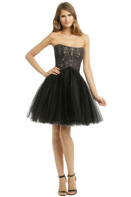 Strapless Lace Full-Skirt Cotton/Tulle  Dress