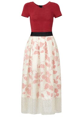 Floral Print Polyester/Rayon/Knit Short Sleeves Full-Skirt  Dress