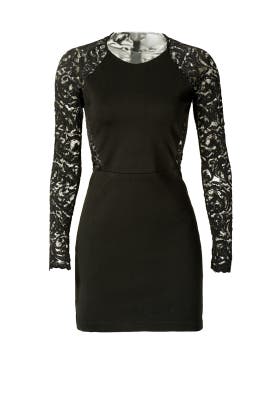 Elastane/Nylon/Ponte/Rayon Sheer Lace  Dress