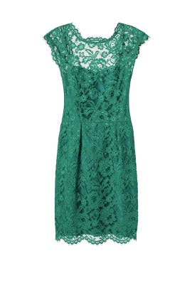 Bateau Neck Fitted Lace Nylon Cap Sleeves  Dress