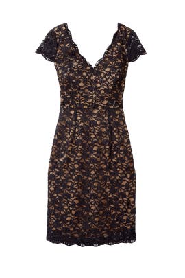 V-neck Nylon Lace Fitted Open-Back Short Sleeves  Dress