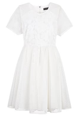 Polyester Short Sleeves Lace Mesh Full-Skirt  Dress