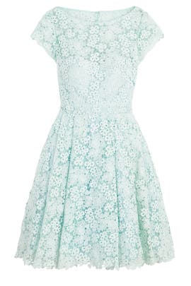 Cap Sleeves Lace Open-Back Full-Skirt Cotton/Nylon/Rayon  Dress