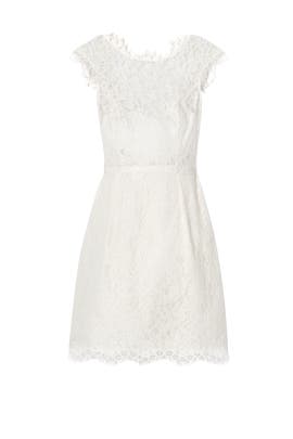 Lace Cap Sleeves Cotton/Nylon/Rayon Bateau Neck  Dress