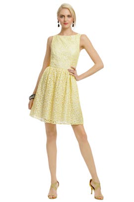 Cotton/Nylon Lace  Dress