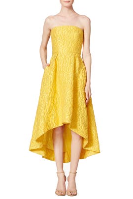 Strapless High-Low-Hem Full-Skirt Jacquard Linen  Dress