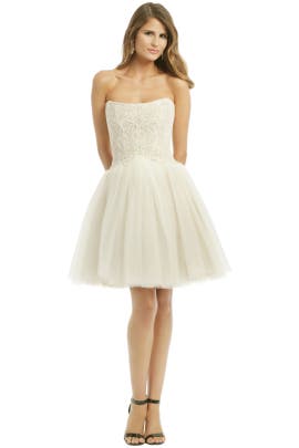 Strapless Cotton/Tulle Full-Skirt Winter Lace  Dress