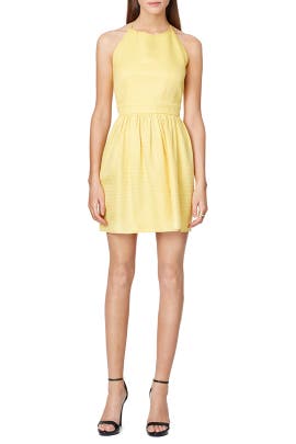 Cotton Open-Back Halter Sleeveless Full-Skirt  Dress