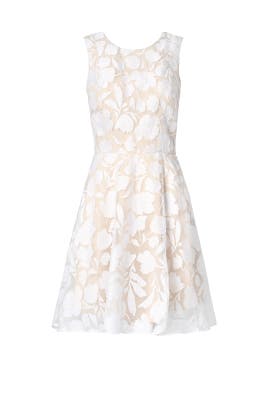 Lace Full-Skirt Sleeveless Linen/Polyester/Rayon  Dress