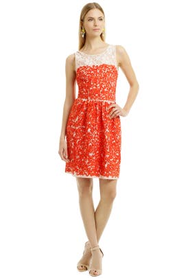 Summer Sleeveless Full-Skirt Lace  Dress