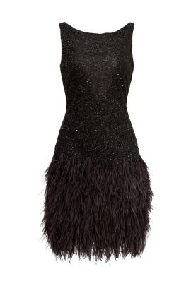 Sleeveless Bateau Neck Nylon/Tulle Beaded Feathers  Dress