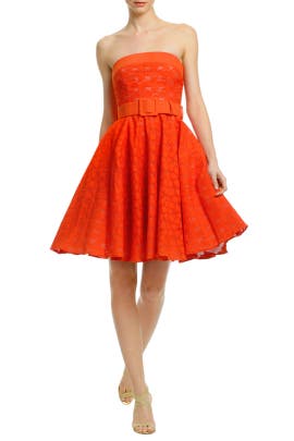 Strapless Full-Skirt Belted Cotton/Nylon  Dress