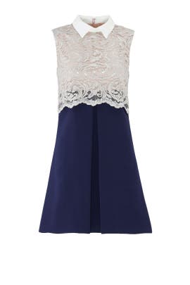 Shift Lace Sleeveless Crepe/Polyester  Dress