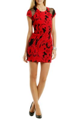Short Sleeves Acrylic/Elastane/Polyester/Viscose Bateau Neck Sheath Jacquard  Dress