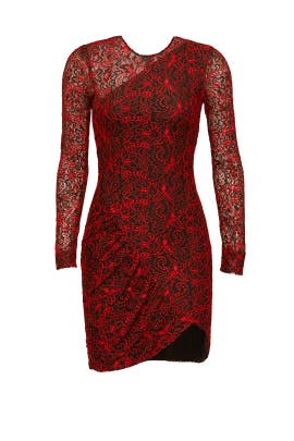 Lace Sheer Sheath Polyester  Dress