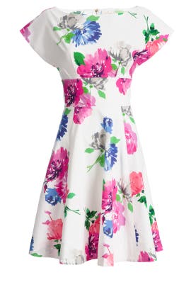 Short Sleeves Floral Print Fit-and-Flare Scoop Neck Cotton/Crepe/Elastane Full-Skirt  Dress