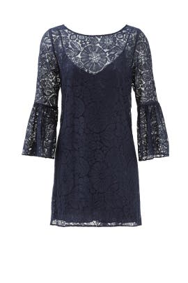 Shift Acrylic/Wool Bell Sleeves Lace  Dress