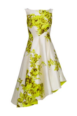 Sleeveless Faille/Silk/Wool Bateau Neck Floral Print Asymmetric Full-Skirt  Dress