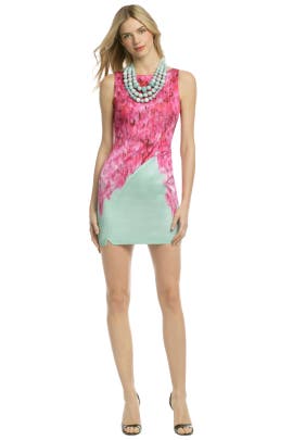 Bateau Neck Cotton/Elastane/Viscose Floral Print Sleeveless  Dress