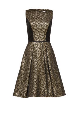 Sleeveless Bateau Neck Jacquard Polyester/Tulle Full-Skirt  Dress