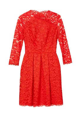 Full-Skirt Cotton/Nylon Pleated Sheer Lace  Dress