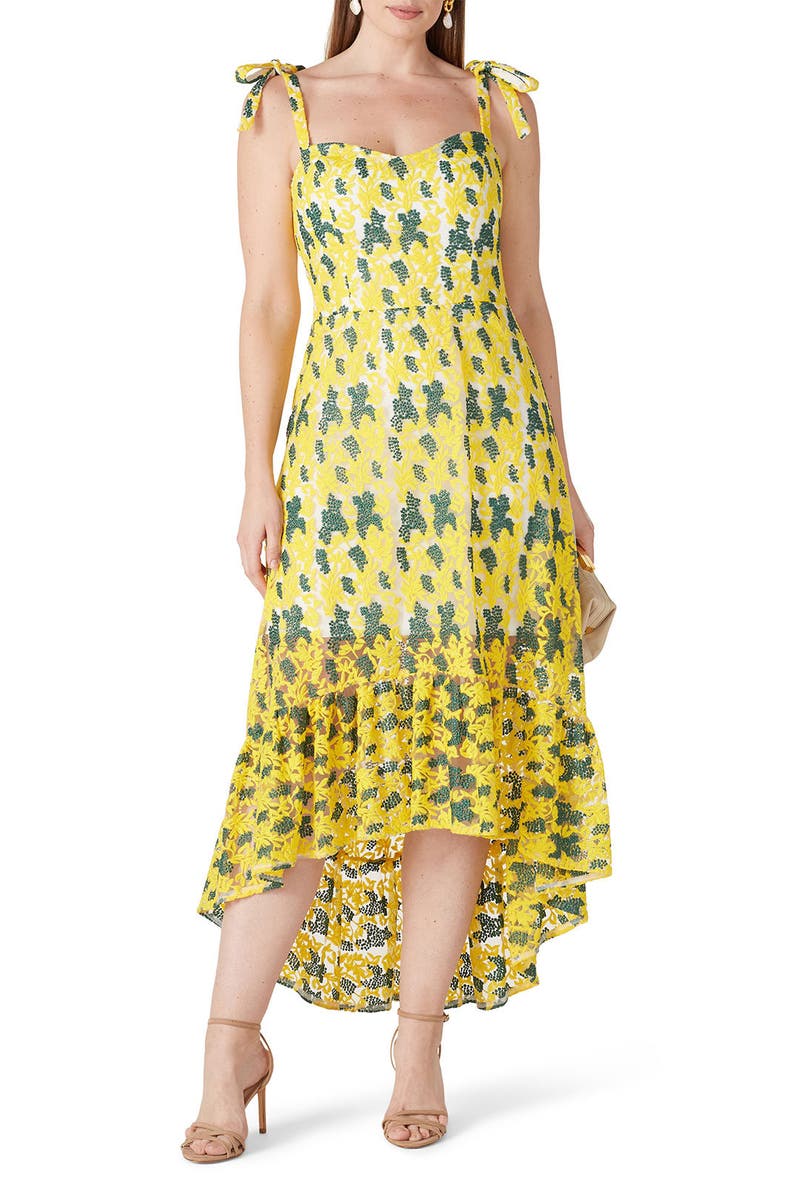 Wren Dress by Dress The Population for 