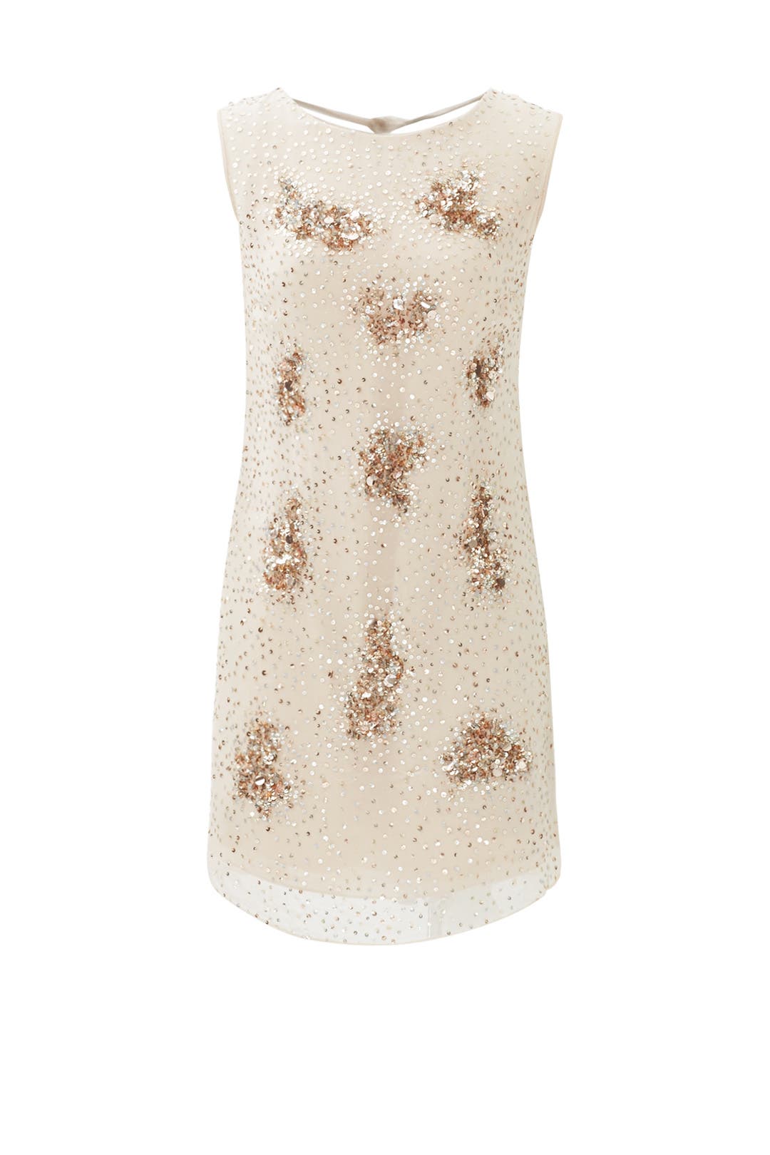 Nude Sequin Cluster Sheath by Badgley Mischka