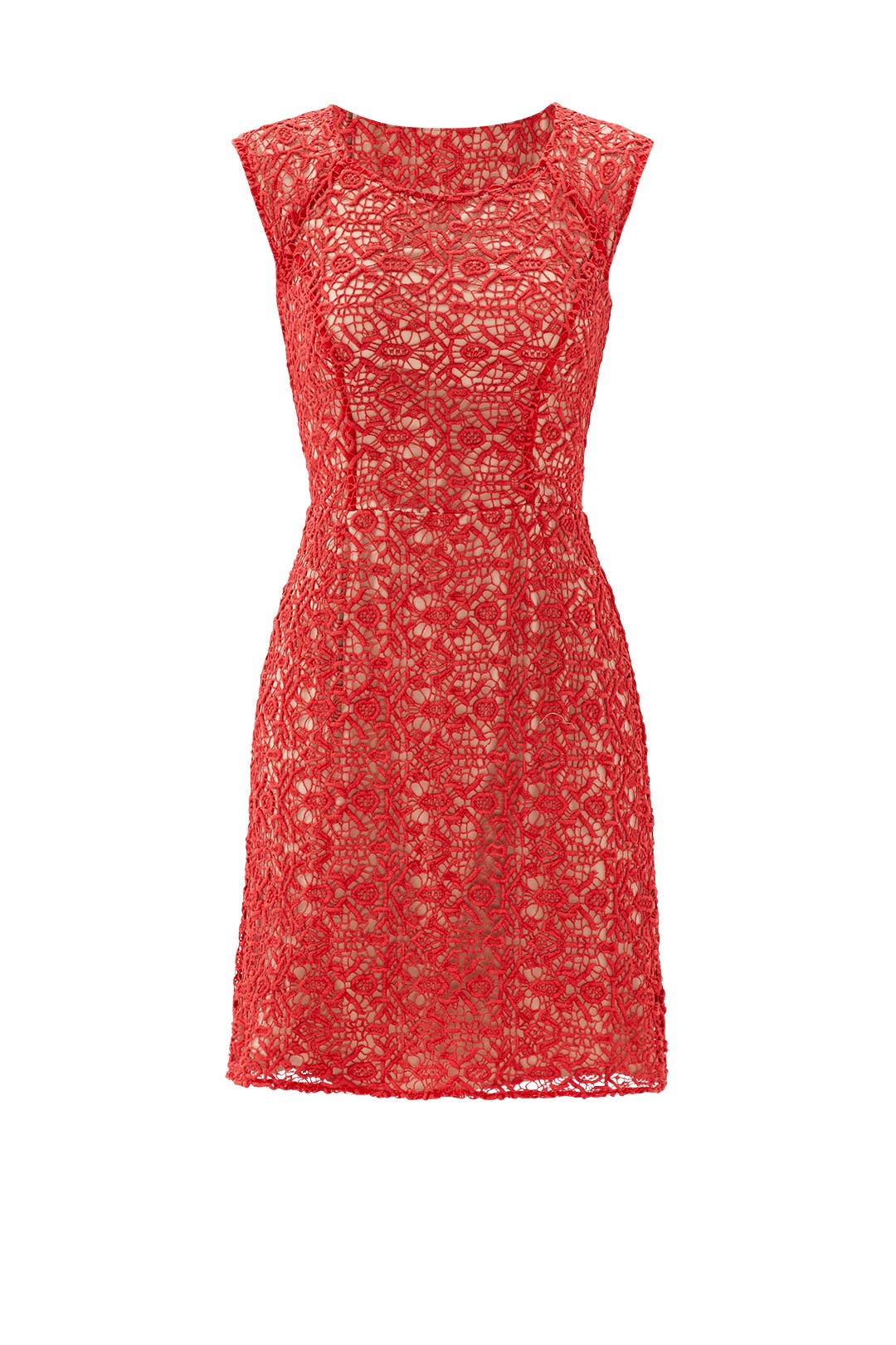 All About Crochet Sheath by Alice by Temperley
