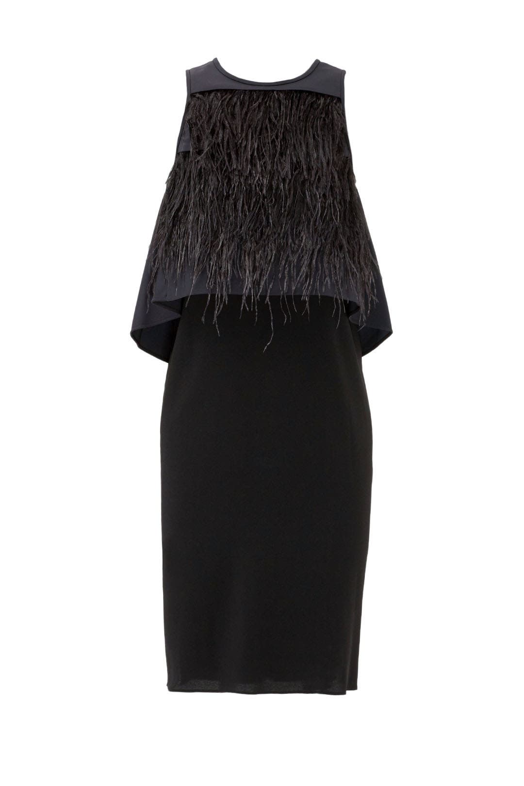 Feather Layered Dress by Tibi for $40 