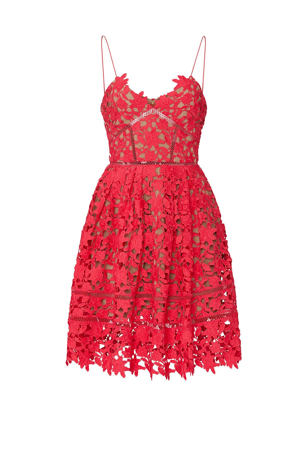 azalea self portrait