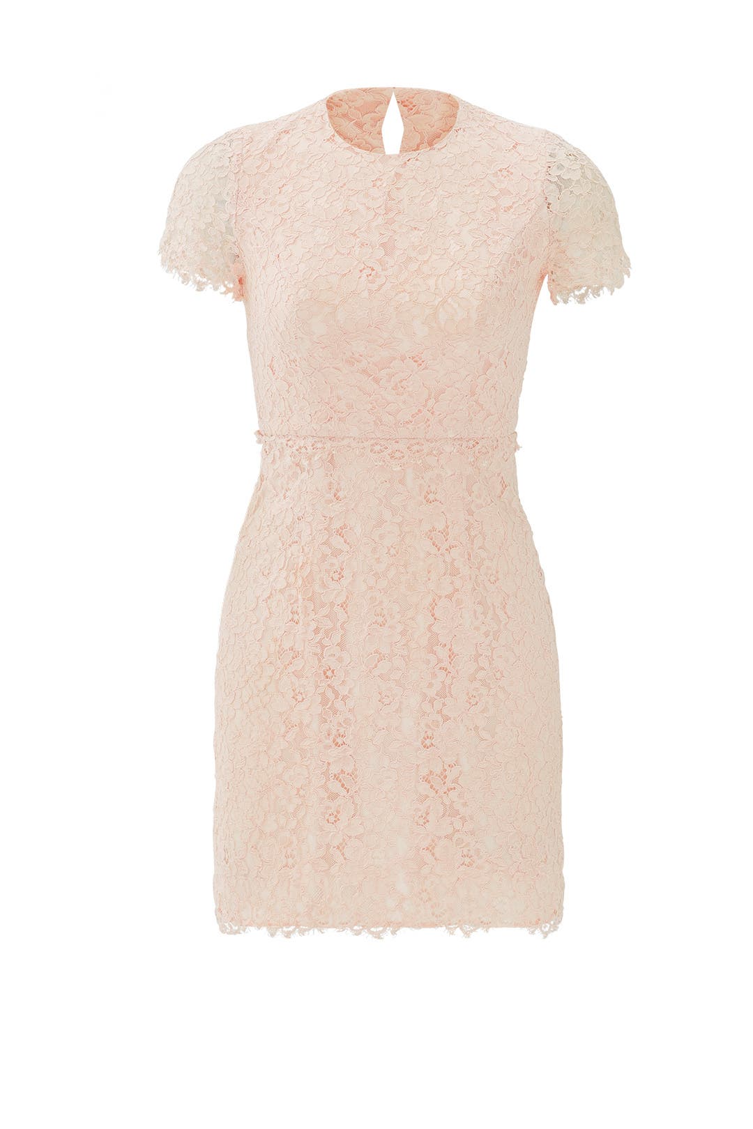 Petal Lace Valeria Dress by Shoshanna