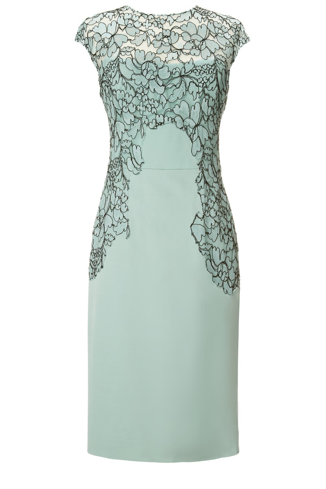 Floral Frame Sheath by Lela Rose