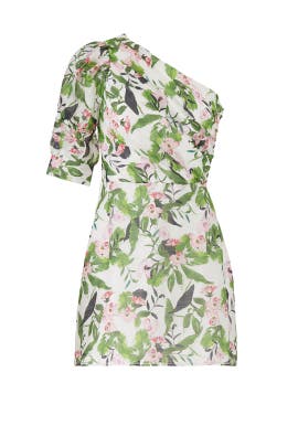 tropo dreams midi dress