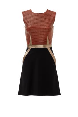 General Print Leather/Nylon/Rayon/Spandex Full-Skirt Sleeveless  Dress