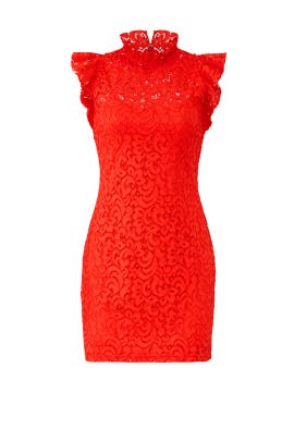 alexia admor red floral lace sheath