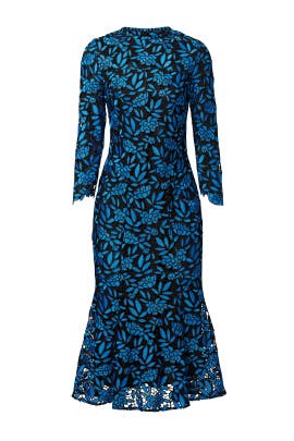shoshanna blue lace dress
