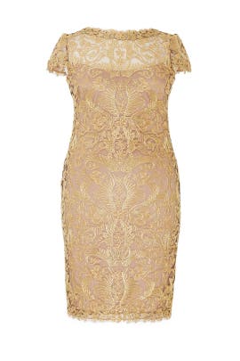 Bateau Neck Lace Cap Sleeves Cotton/Nylon Sheath  Dress