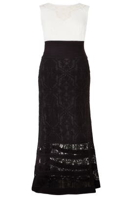 Cotton/Nylon Fitted Lace Sleeveless  Dress