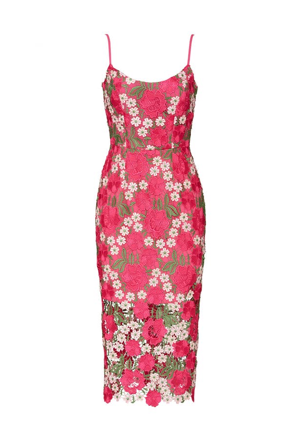 dress the population alexa lace sheath