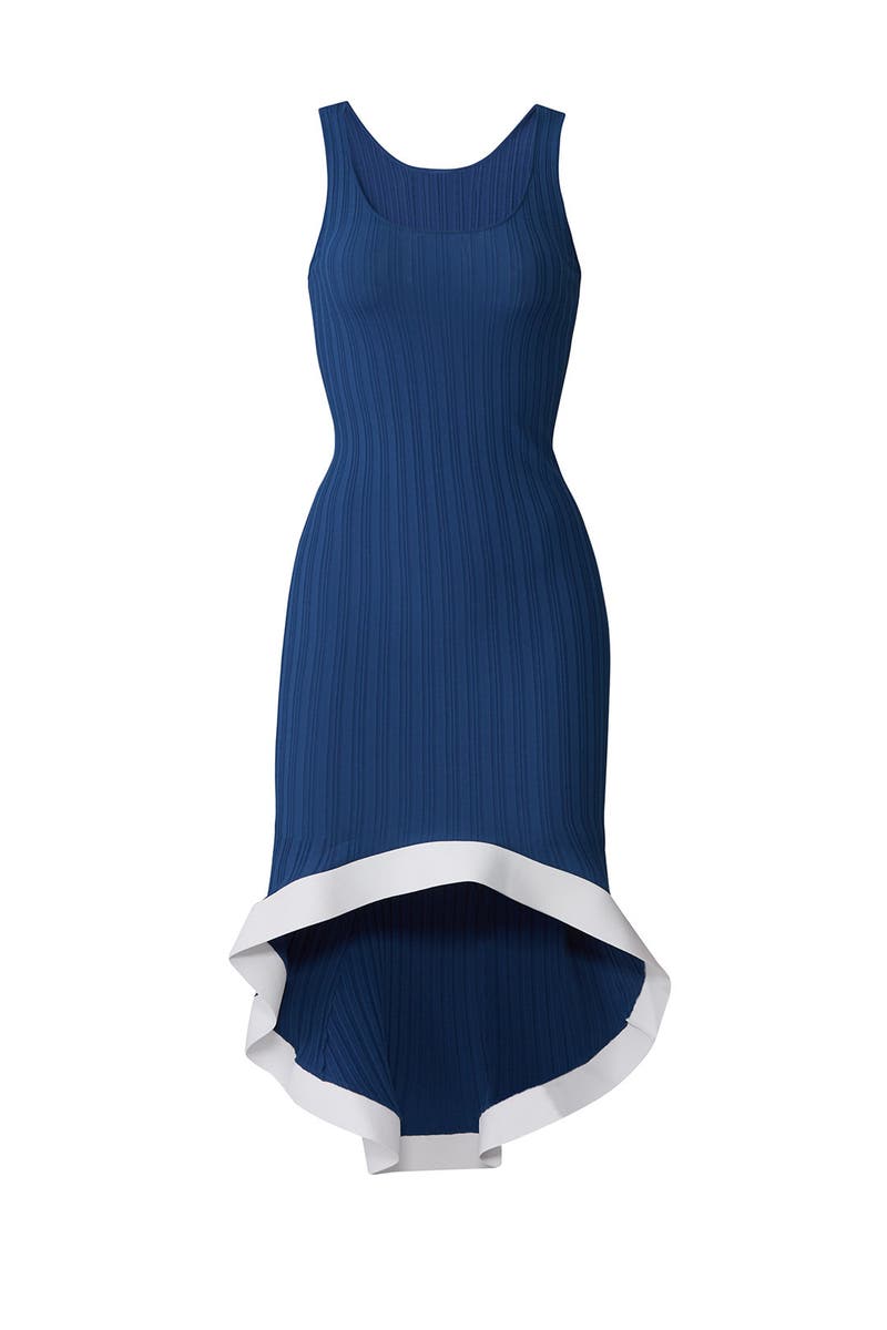Rib Knit Tank Dress by Esteban Cortazar 