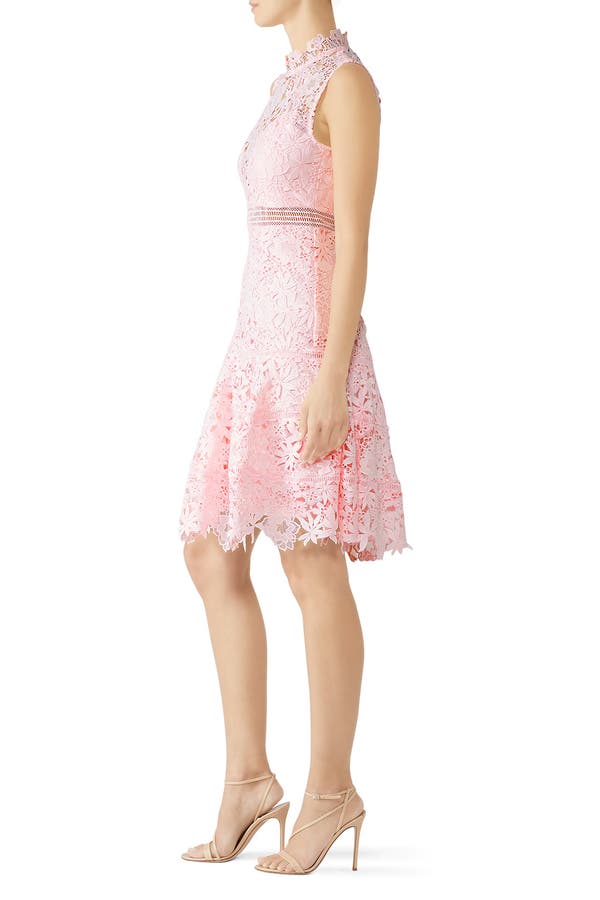 bardot elise lace cocktail dress